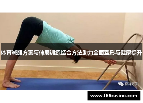 体育减脂方案与伸展训练结合方法助力全面塑形与健康提升